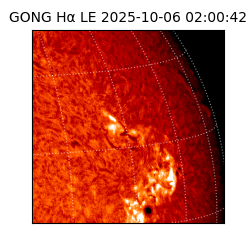 gong - 2025-10-06T02:00:42