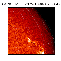 gong - 2025-10-06T02:00:42