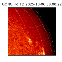gong - 2025-10-06T08:00:22