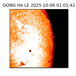 gong - 2025-10-06T01:01:42