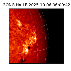 gong - 2025-10-06T06:00:42
