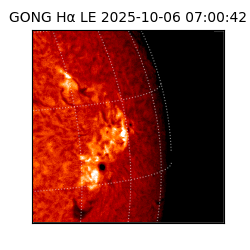 gong - 2025-10-06T07:00:42