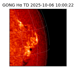gong - 2025-10-06T10:00:22