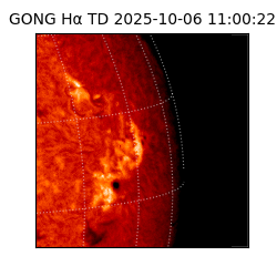 gong - 2025-10-06T11:00:22