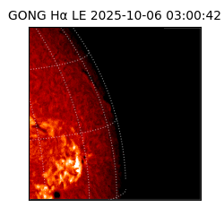 gong - 2025-10-06T03:00:42