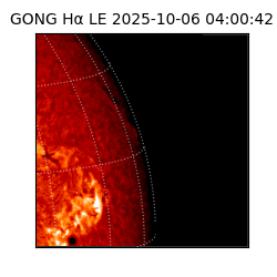 gong - 2025-10-06T04:00:42
