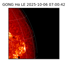 gong - 2025-10-06T07:00:42