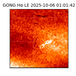 gong - 2025-10-06T01:01:42