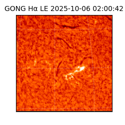 gong - 2025-10-06T02:00:42