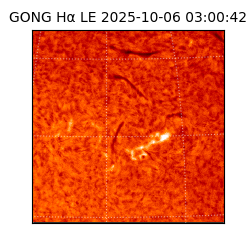 gong - 2025-10-06T03:00:42