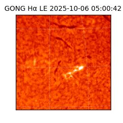 gong - 2025-10-06T05:00:42