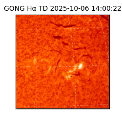 gong - 2025-10-06T14:00:22