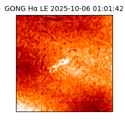 gong - 2025-10-06T01:01:42