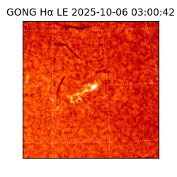 gong - 2025-10-06T03:00:42