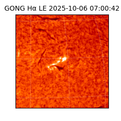 gong - 2025-10-06T07:00:42