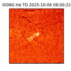 gong - 2025-10-06T08:00:22