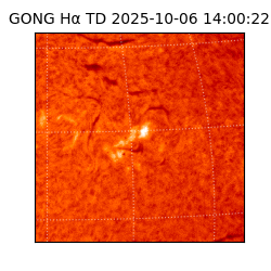 gong - 2025-10-06T14:00:22