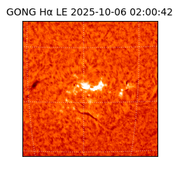 gong - 2025-10-06T02:00:42