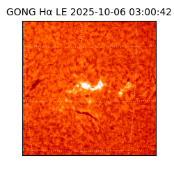 gong - 2025-10-06T03:00:42