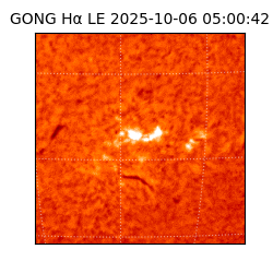 gong - 2025-10-06T05:00:42