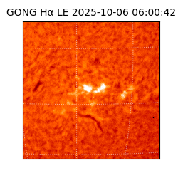 gong - 2025-10-06T06:00:42