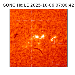 gong - 2025-10-06T07:00:42