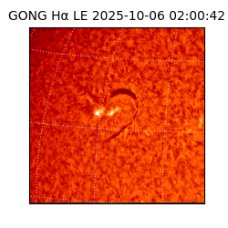 gong - 2025-10-06T02:00:42