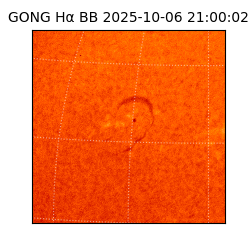 gong - 2025-10-06T21:00:02