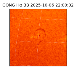 gong - 2025-10-06T22:00:02
