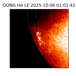 gong - 2025-10-06T01:01:42