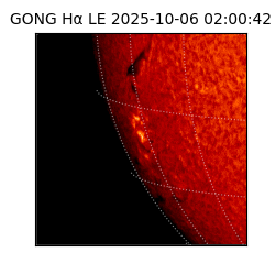 gong - 2025-10-06T02:00:42