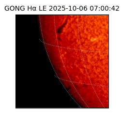 gong - 2025-10-06T07:00:42