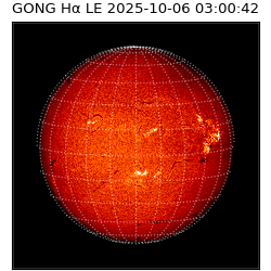 gong - 2025-10-06T03:00:42