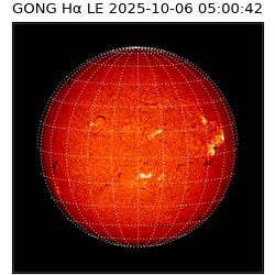 gong - 2025-10-06T05:00:42