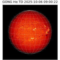 gong - 2025-10-06T09:00:22