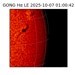 gong - 2025-10-07T01:00:42