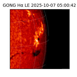 gong - 2025-10-07T05:00:42
