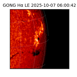 gong - 2025-10-07T06:00:42