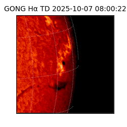 gong - 2025-10-07T08:00:22