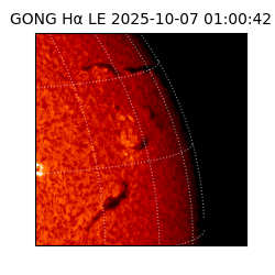 gong - 2025-10-07T01:00:42