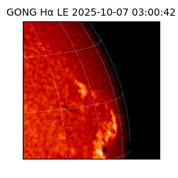 gong - 2025-10-07T03:00:42