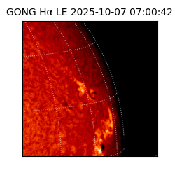 gong - 2025-10-07T07:00:42