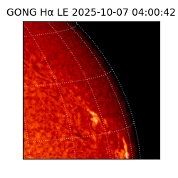 gong - 2025-10-07T04:00:42