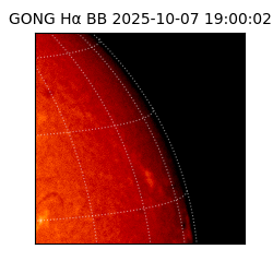 gong - 2025-10-07T19:00:02