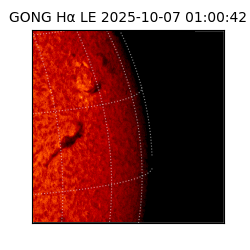 gong - 2025-10-07T01:00:42