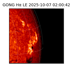gong - 2025-10-07T02:00:42
