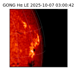 gong - 2025-10-07T03:00:42