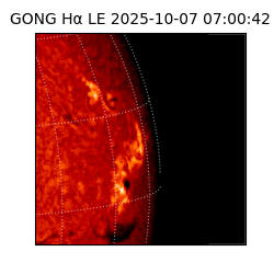 gong - 2025-10-07T07:00:42