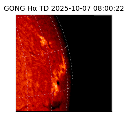 gong - 2025-10-07T08:00:22