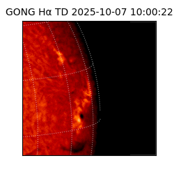 gong - 2025-10-07T10:00:22
